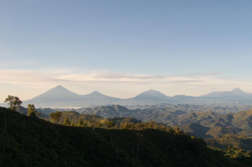 Kisoro Clouds Mountain Gorilla Lodge מראה חיצוני תמונה